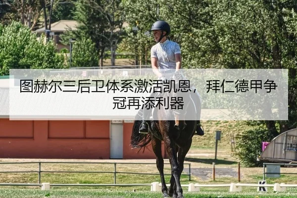 图赫尔三后卫体系激活凯恩，拜仁德甲争冠再添利器